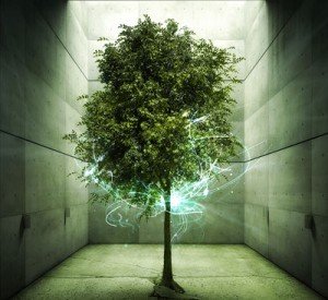 Tree of immortality