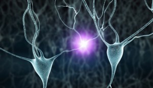 brain implant