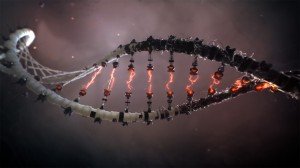 transhuman DNA