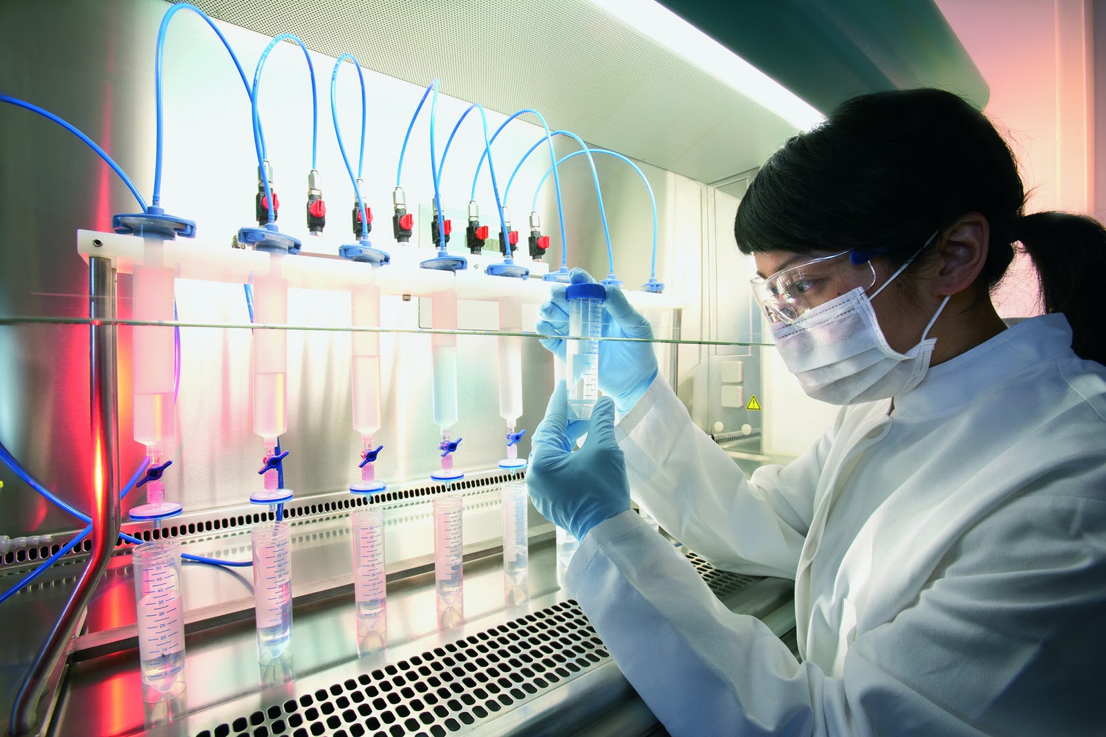 Stem Cell Research in the quest for immortality